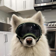 听我说先别急！