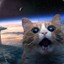 SpaceCat