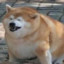 CHONKER_REQUIEM