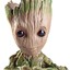 Groot