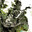 AceOfSpades-