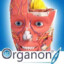 Organon_3