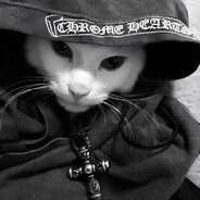 seqku999 avatar