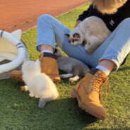 学过金融所以很会炒币