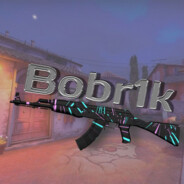 Bobr1k