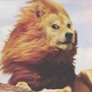 全民制作人大家好