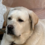 别急我还能操作呀