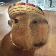 CAPYBARA2115 call 911