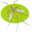 Mosquito Hawk