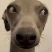 翻斗花园突破手牛爷爷