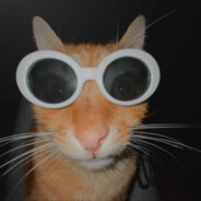 noj avatar