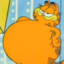 Garfield (3rd Trimester)