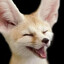 Foxu