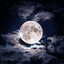 Luman
