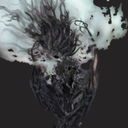 一个不小心就上树了