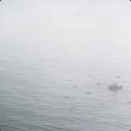 The Bodies in the Water