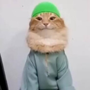 fujyZ avatar