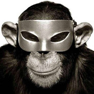 мопс губернатор