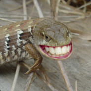 LIZZARDhead