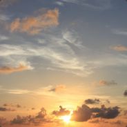 hansen - steam id 76561197967844342