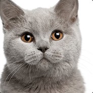 GARBO - steam id 76561197965774259
