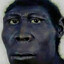 AUSTRALOPITECO