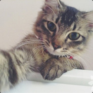 sefikkoseoglu avatar