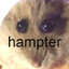 Hampter {fwkzt}