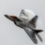 батон на f22 raptor