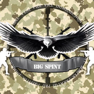 BIGSPINT