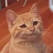 Bruh