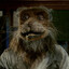 Splinter