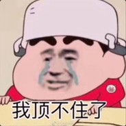 飞天皮怪猪猪男孩