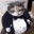 Tuxedo Cat