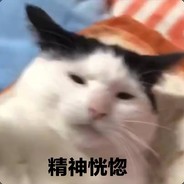 太菜了所以先说对不起