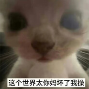 神秘猪头