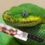 dpython