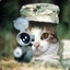 Cat Lee Swagger ◕︎ ‿◕