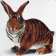 FoxTango - steam id 76561197966238539