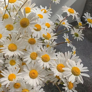 就当她练技术**