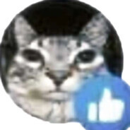 slivovitz333's avatar