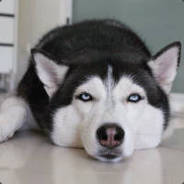 米國最強伝説と裂顱の將領!肯尼永樂帝です