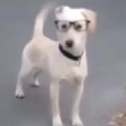 人说谎言，马说韩愈