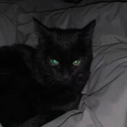 我心里危险的东西