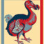 DoDo