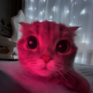 гаечка