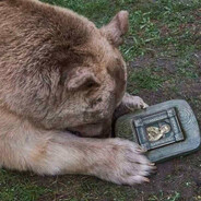 𝕬𝖓𝖙𝖔𝖓𝖛𝖘 ✠