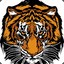 Tiger_Militant