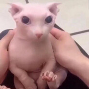 ShtugurnuT
