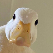 ice cream ⋆˙♡౨ৎ